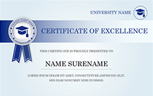 team certificate img 2