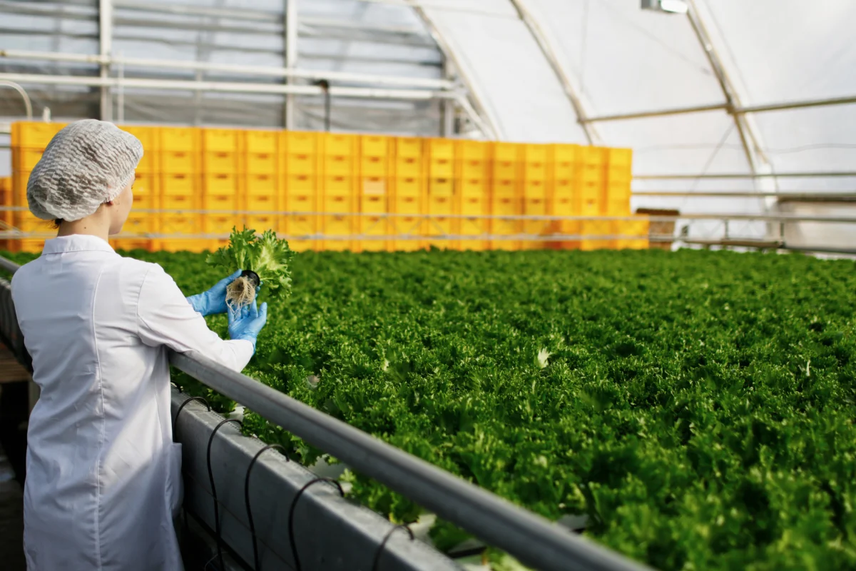 agriculture manufacturing